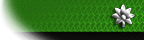 Lieutenant Colonel