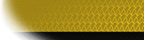 y-blank.png