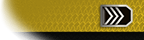 Petty Officer 1st Class